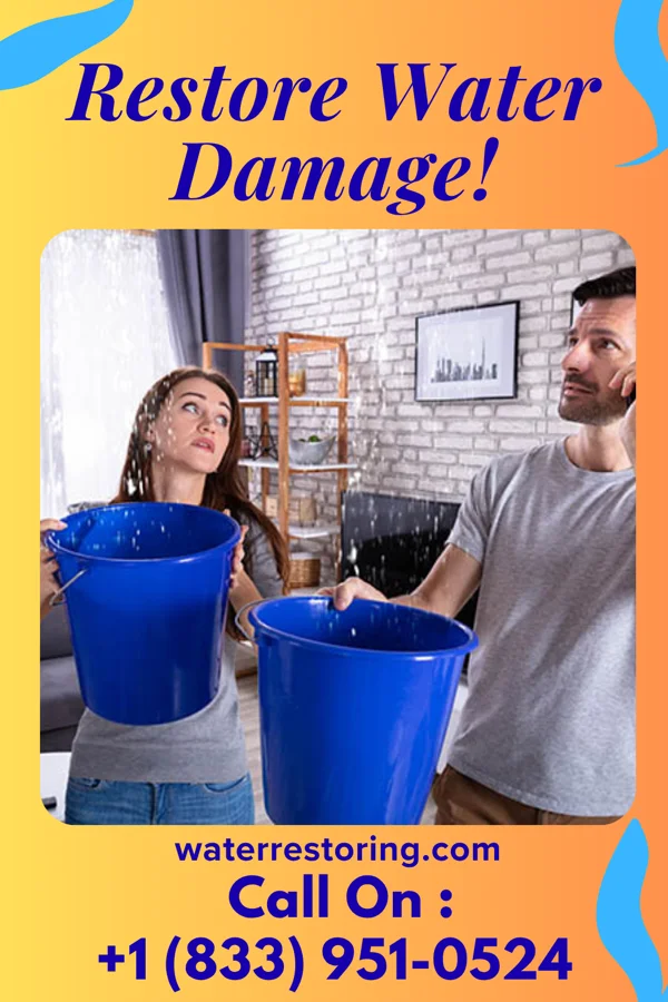 water restoration Stellar Storm Recovery Solutions Portage