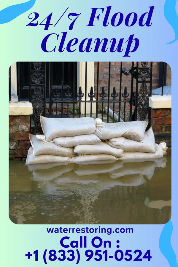 24/7 Flood Cleanup in Portage, MI
