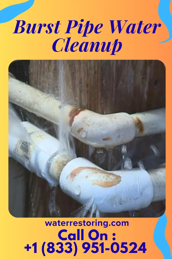 Burst Pipe Water Cleanup in Portage, MI