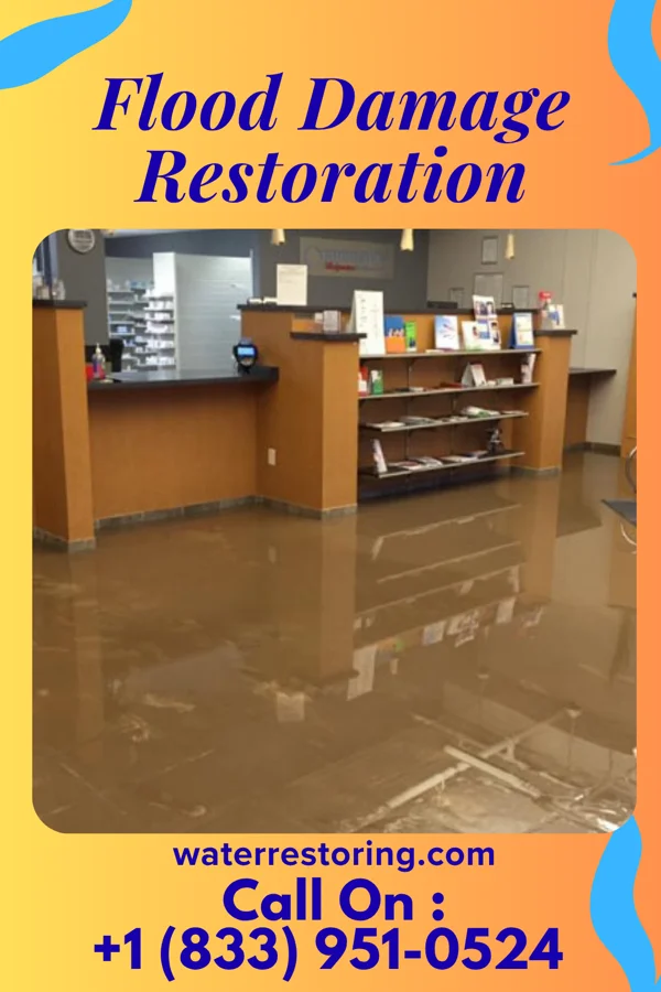 Flood Damage Restoration in Portage, MI