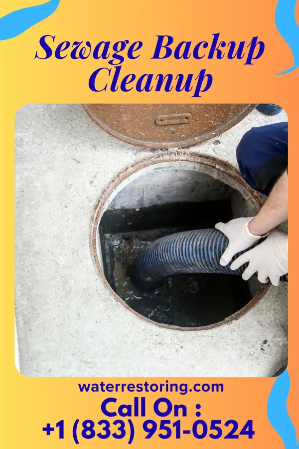 Sewage Backup Cleanup in Portage, MI